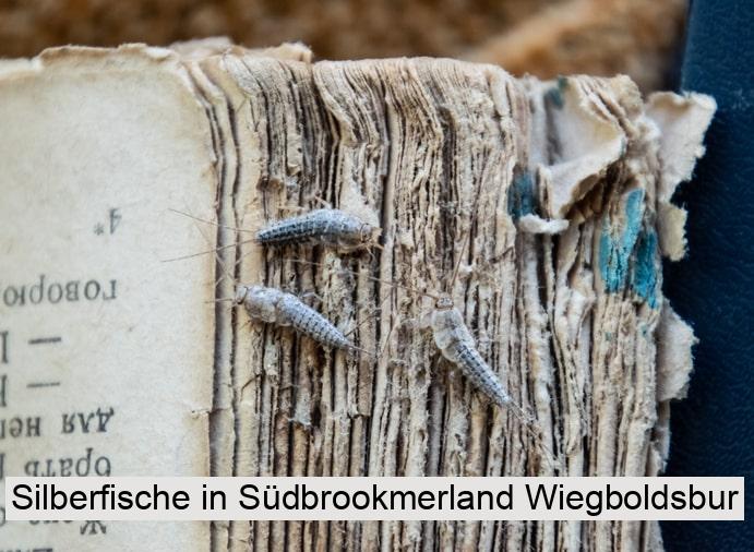 Silberfische in Südbrookmerland Wiegboldsbur